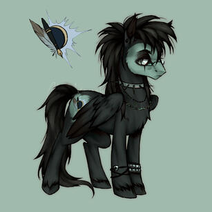 Pony 2024